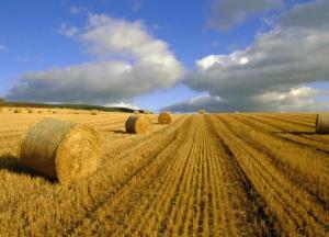 В принятом виде закон о рынке земли – никакая не «зрада»
