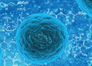 Очередное испытание для украинцев