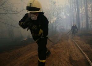 С поджогами необходимо бороться штрафами и уголовной ответственностью