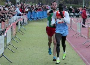 Оставайтесь людьми: упасть до уровня животного вы всегда успеете