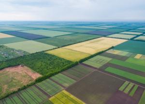 Рынок земли открывается: что приняла Рада и кто сможет покупать участки