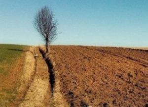 Горькая правда о земельной реформе