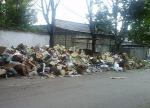 Крым - мусорный рай (фото)