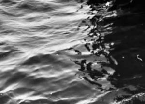 Новости Крымнаша: Крым уходит с молотка