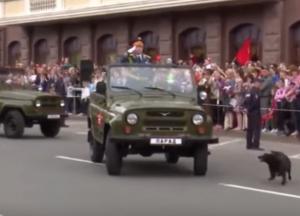 Приключения Хунтика в Донецке. Комедия