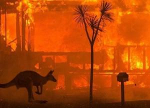 Пожары в Австралии показали, что идиотизму наших соотечественников нет предела