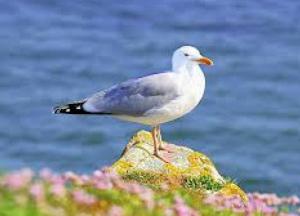 Россия убивает своих людей такими способами, которые даже невозможно придумать