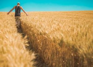 Продажа и покупка земли: какие документы необходимо подготовить