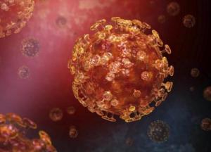 Смертельный коронавирус из Китая: симптомы и профилактика