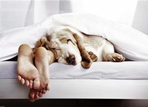 Ламкі нігті, роздутий живіт і плями на шкірі: ШІ показав, що буде, якщо не спати 7 годин на добу (фото)