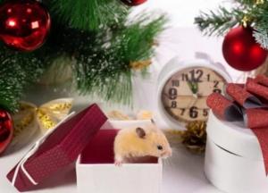 Что приготовить на Новый год: меню от известного шеф-повара