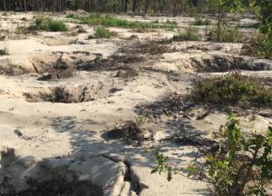 Нелегальная добыча янтаря: масштабы хищений ужасны