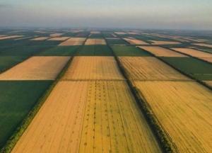 Продажа земли на земельных аукционах: кто от этого выиграет