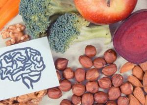 Пища для ума: какие продукты улучшают память