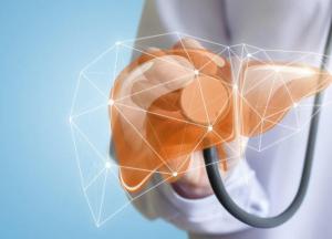 Какие продукты лечат печень: что нужно включить в свой рацион