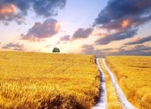 Я не называю себя патриотом. Я - эгоист