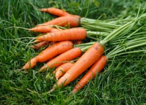 Чудо-овощ: натуральные и безопасные средства при насморке