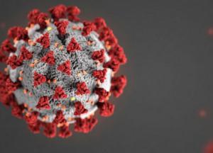Происхождение коронавируса: мифы и правда