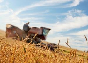 Украине предлагают стать аграрной сверхдержавой