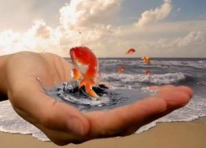 Как получить желаемое от жизни