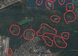 Под руководством директора Дарницкого лесопаркового хозяйства происходит широкомасштабная вырубка киевских лесов