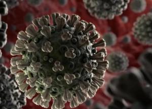 О коронавирусе есть не только плохие новости: позитивные факты