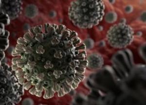 Когда и как можно заразиться коронавирусом
