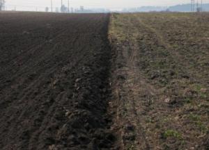 Почем гектар. Как заработал рынок земли, и что будет дальше