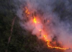 Россиян бросили в огонь коронавируса и лесных пожаров
