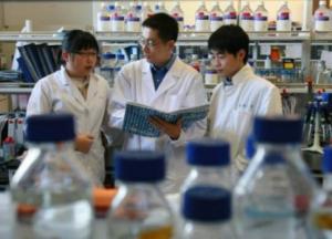 Китай создал научный центр по внедрению разработок украинских ученых