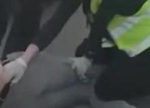 Штрафи за порушення карантину: відмінність між прийняттям рішення і  втіленням у життя просто разюча