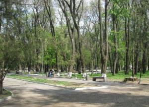 19 миллионов «на блюдечке с голубой каемочкой»: в Днепре определяют стоимость работ и выполняют эти работы одни и те же люди