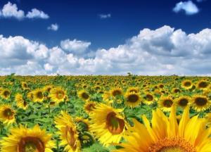 На що схожа Україна у 2030 році?