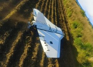 "Коли голову у пісок сховали - попа взагалі беззахисна": військовий ЗСУ вкотре звернувся до поляків