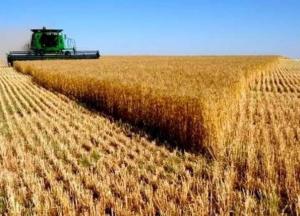 Беда с земельной реформой