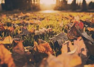 Зимы не будет: синоптики ошеломили теплым прогнозом