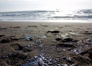 Новости Крымнаша: Смрад фюрера