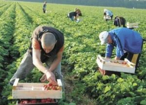 Чому Європа скоро забере ще більше працівників з України