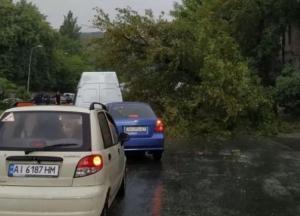 Вся Украина скатилась в один сплошной бардак