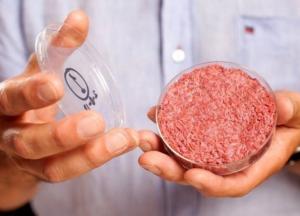 Филе из перьев и 3D-стейк: 10 разработок, которые спасут животный мир