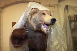 Здесь жил Царев. Дом сепаратиста изнутри (фото, видео)