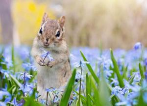 Погода на завтра: на западе дожди, в остальных регионах облачно