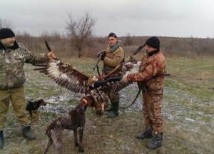 В Одесской области полицейские-браконьеры убили птицу из Красной книги (фото) 