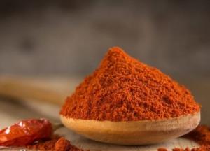 Медики назвали специю долголетия 