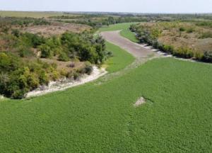 Каховське водосховище по-людожерськи зацікавило росіян