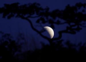 Лунный календарь на 22 ноября для каждого знака зодиака 