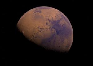 Ученые установили, что в океанах Марса обитала сельдь