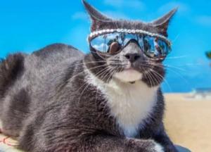 Прогноз погоды на 14 июня: жарко, местами дождь