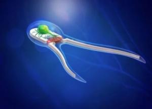 Новое открытие для медицины: ученые создали биоробота, который может передвигаться в человеческом теле