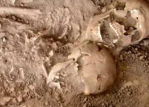 Объятия скелетов. В Израиле нашли могилу пары, которую похоронили вместе 3000 лет назад